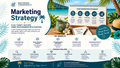 Marketing Strategy Guide